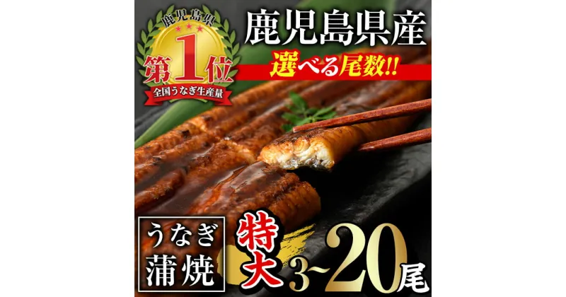 【ふるさと納税】＜尾数が選べる！＞鹿児島県産うなぎ蒲焼セット＜特大＞(計480g～計3.2kg・ 約160g×6尾～20尾) タレ・山椒付き 鰻 うなぎ 蒲焼 ウナギ 急速 冷凍 6尾 ひつまぶし 鹿児島県産 国産【西日本養鰻】