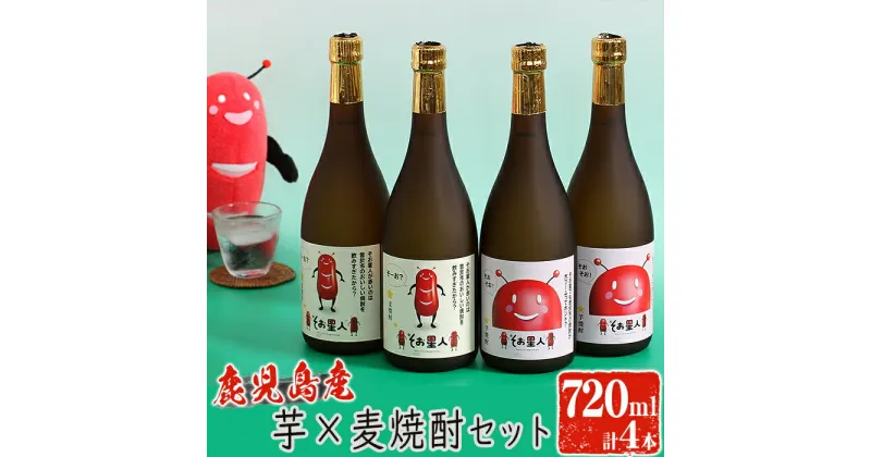 【ふるさと納税】鹿児島曽於市の本格焼酎を飲み比べ そお星人の芋焼酎と麦焼酎セット 岩川醸造(720ml×4本) 焼酎 芋焼酎 麦焼酎 本格焼酎 芋 麦 酒 お酒 アルコール 飲み比べ セット 詰め合わせ ギフト 贈り物 プレゼント【山元商店】