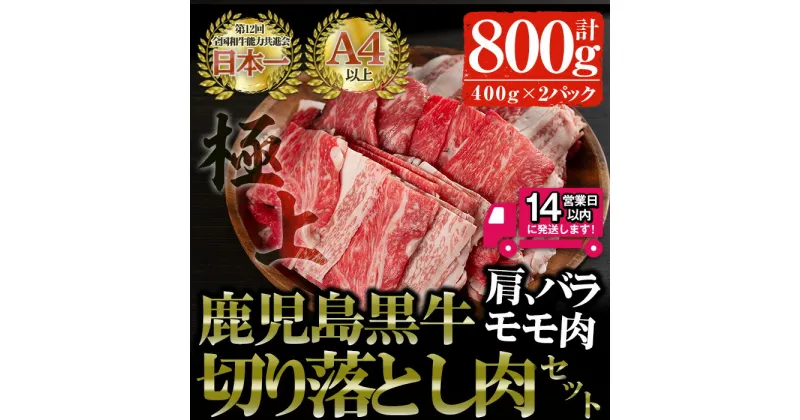 【ふるさと納税】鹿児島黒牛 切り落とし肉詰め合わせ(計800g・400g×2P) 国産 鹿児島県産 黒毛和牛 和牛 牛肉 肩肉 バラ肉 モモ肉 切り落とし 冷凍 詰め合わせ【佐多精肉店】