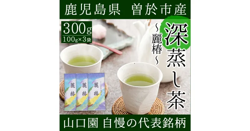 【ふるさと納税】鹿児島県曽於市産 小さいお茶屋の深蒸し茶〜麗椿〜(茶葉100g×3本・合計300g) 国産 鹿児島県産 緑茶 お茶 加工品 一番茶 茶葉 深蒸し茶 ギフト 贈答【お茶の山口園】