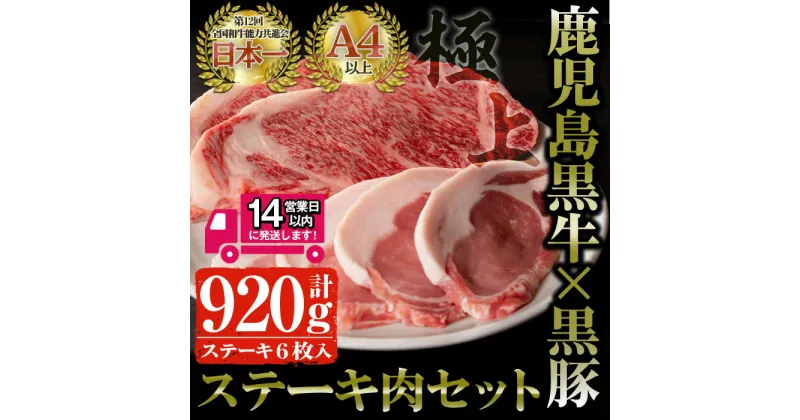 【ふるさと納税】鹿児島県産 黒毛和牛ステーキ肉セット(計920g)！ 鹿児島黒牛サーロインステーキ(220g×2枚)・鹿児島黒豚ロースステーキ(120g×4枚) 国産 鹿児島県産 和牛 黒牛 黒豚 牛肉 豚肉 ステーキ セット 冷凍【佐多精肉店】