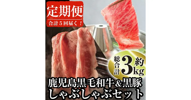 【ふるさと納税】＜定期便・全5回＞鹿児島県産黒毛和牛と黒豚のしゃぶしゃぶセット(各300g×2×5回・計3kg) 黒毛和牛 和牛 牛肉 牛 黒豚 豚肉 豚 肉 鹿児島県産 国産 しゃぶしゃぶ 肩ロース タレ付き たれ付き セット 冷凍 定期便【ナンチク】