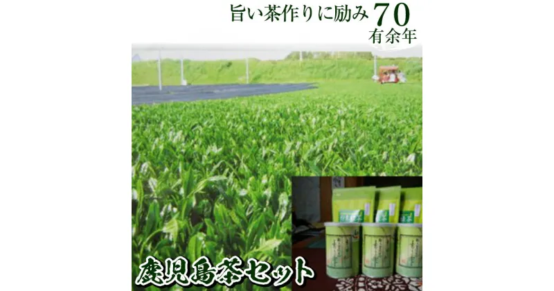 【ふるさと納税】鹿児島茶セット 香りの雫(100g×3・計300g) 粉末緑茶(18g×3・計54g) 鹿児島県産 鹿児島茶 緑茶 日本茶 お茶 茶 茶葉 セット【新穂製茶】