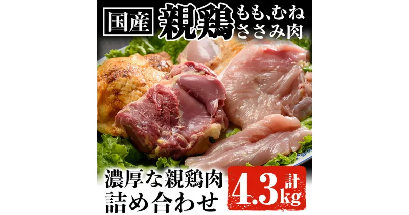 【ふるさと納税】親鶏Bセット合計4.3kg！国内産の親鶏を使用！もも肉、むね肉、ささみ肉のセット！ 肉 鶏肉 鶏 親鶏 モモ肉 ムネ肉 ささみ肉 国産 詰め合わせ 冷凍【ケイ・ショップ味彩館】