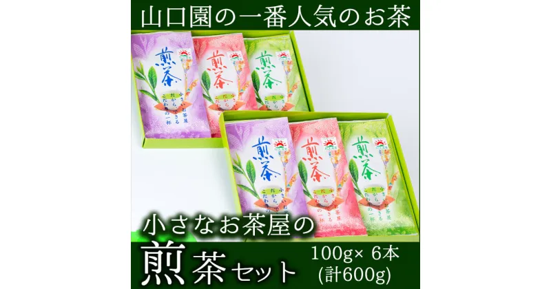 【ふるさと納税】小さいお茶屋の煎茶セット(煎茶100g×6本・合計600g) 国産 鹿児島県産 緑茶 お茶 加工品 煎茶 茶葉 セット ギフト 贈答 茶【お茶の山口園】