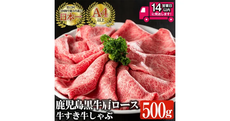 【ふるさと納税】鹿児島黒牛 A4以上 肩ロース牛すき牛しゃぶ(計500g) 国産 鹿児島県産 黒毛和牛 和牛 牛肉 A4 肩ロース すき焼き しゃぶしゃぶ 牛すき 牛しゃぶ【佐多精肉店】