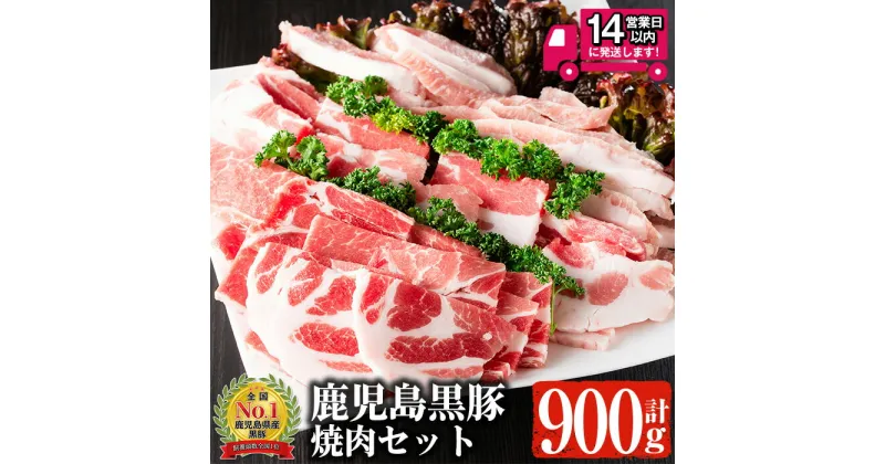 【ふるさと納税】鹿児島黒豚 焼肉セット 黒豚肩ロース・黒豚バラ・黒豚トントロ (各300g×3種・計900g) 国産 鹿児島県産 黒豚 豚肉 お肉 肩ロース 豚バラ トントロ 焼肉 セット 冷凍【佐多精肉店】