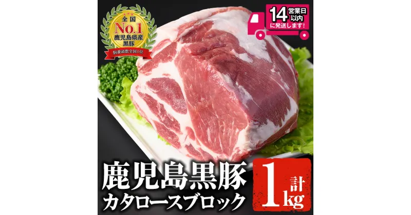 【ふるさと納税】鹿児島黒豚 カタロースブロック(1kg) 国産 鹿児島県産 黒豚 豚肉 お肉 肩ロース 焼肉 バーベキュー 冷凍 ブロック 豚【佐多精肉店】