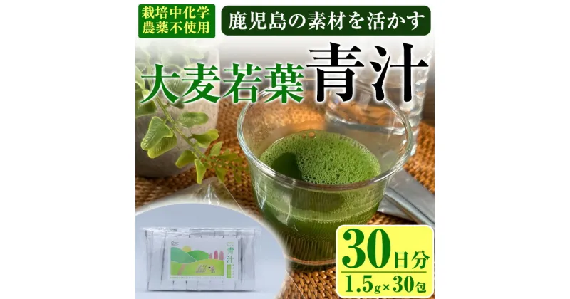 【ふるさと納税】鹿児島県産 大麦若葉 茶農家が作った素材を活かす美味しい青汁 (1.5g×30包・計30日分) 国産 鹿児島県産 大麦若葉 栽培期間中農薬不使用 HACCP 青汁 スムージー しぜんのおかショップ 【アグリおおすみ】