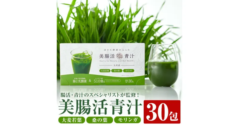 【ふるさと納税】美腸活青汁 (3g×30包) 国産 大麦若葉 桑 桑の葉 モリンガ 青汁 スムージー 乳酸菌 腸活 【チョイスジャパン株式会社】