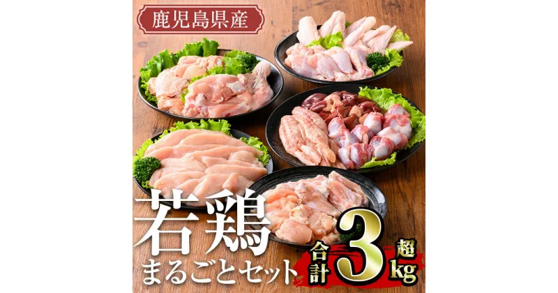 【ふるさと納税】鹿児島県産 若鶏まるごとセット(計3.05kg) 国産 鹿児島県産 小分け 冷凍 真空パック 若鶏 鶏肉 鶏 肉 もも肉 モモ肉 むね肉 ムネ肉 ささみ ササミ 筋なし 砂肝 肝 手羽先 キチンリブ 手羽元 肩肉 小肉 骨付き セット 詰め合わせ【TRINITY】