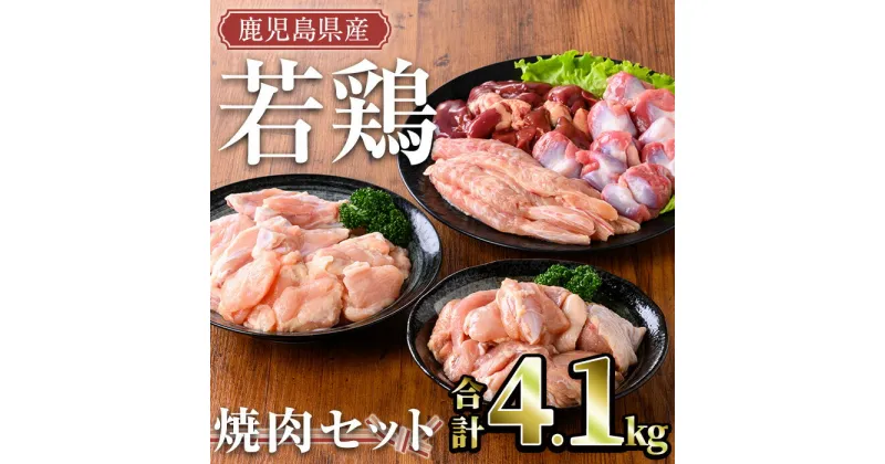 【ふるさと納税】鹿児島県産 若鶏焼肉セット(計4.1kg) 国産 鹿児島県産 小分け 冷凍 真空パック 若鶏 鶏肉 鶏 肉 もも肉 モモ肉 砂肝 肝 キチンリブ 肩肉 小肉 焼肉 セット 詰め合わせ【TRINITY】