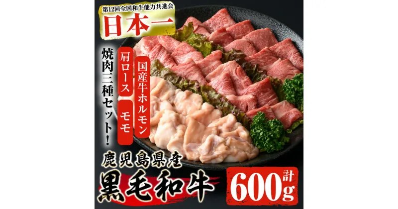 【ふるさと納税】鹿児島県産黒毛和牛の焼き肉セット(和牛ロース肉、モモ肉、国産牛ホルモン 各200g 計600g) 黒毛和牛 和牛 牛肉 肉 牛 ロース モモ ホルモン 焼き肉 焼肉 BBQ バーベキュー 冷凍 国産 セット【ナンチク】