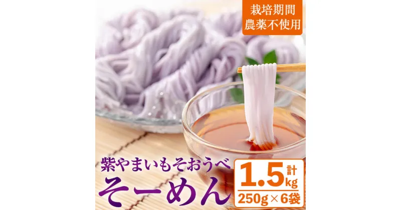 【ふるさと納税】紫やまいも【そおうべ】そーめん(計1.5kg・250g×6袋) そおうべ 紫やまいも やまいも そうめん そーめん 常温 常温保存【曽於市観光協会】