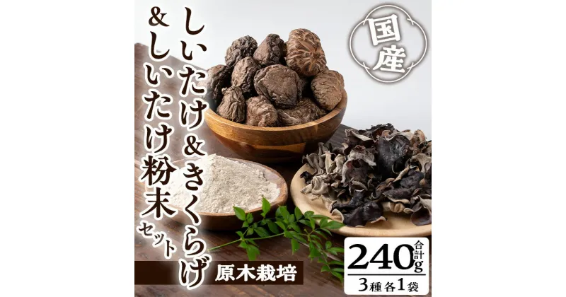 【ふるさと納税】しいたけ＋しいたけ粉末＋きくらげセット(合計240g・3種)国産 しいたけ シイタケ きのこ キノコ 粉末 パウダー きくらげ キクラゲ 常温 常温保存【九南サービス(タマチャンショップ)】