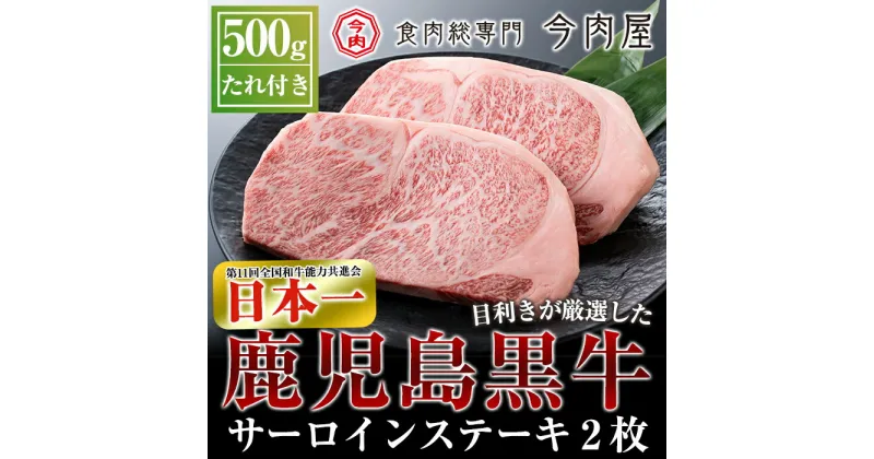 【ふるさと納税】＜A5ランク＞黒毛和牛ステーキ計約500g(250g×2枚)※北海道・沖縄配送不可※鹿児島黒牛 国産 黒毛和牛 鹿児島県産 肉 牛肉 A5等級 サーロイン ステーキ肉 30000【今肉屋】