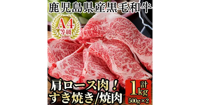 【ふるさと納税】鹿児島県産黒毛和牛肩ロース肉(A-4等級1,000g)国産 牛肉 すき焼き 焼肉 焼き肉 鹿児島県産 黒毛和牛 肉 精肉 牛 A4等級【九面屋】