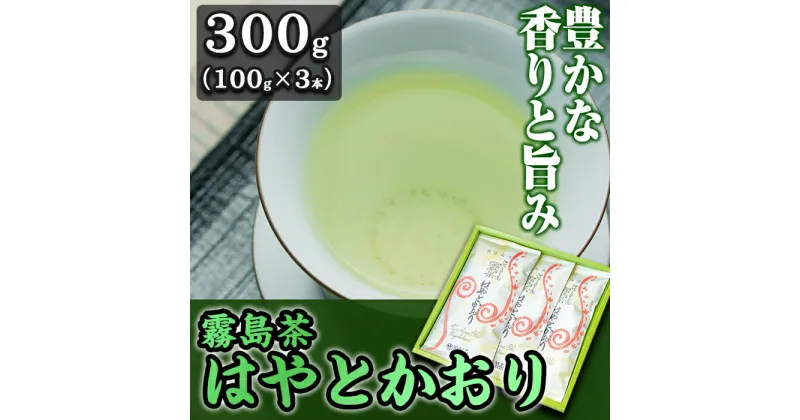 【ふるさと納税】霧島茶 はやとかおり詰合せ(100g×3本)国産 霧島産 お茶 茶葉 緑茶 銘茶 セット【マル竹園製茶】