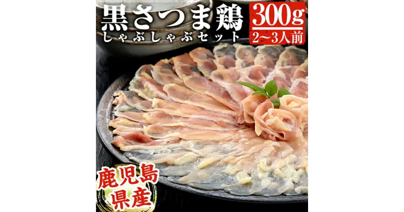 【ふるさと納税】黒さつま鶏しゃぶしゃぶセット(2～3人前)最高級ブランド地鶏肉『黒さつま鶏』の鳥肉(もも肉＆むね肉)スライスとコラーゲンたっぷりの鶏白湯スープは相性抜群【カゴシマバンズ】