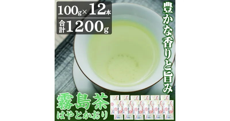 【ふるさと納税】霧島茶はやとかおり雅12本セット！鹿児島県霧島市で育った緑茶「霧島茶」を茶葉100g×12本、合計1200gでお届け【マル竹園製茶】