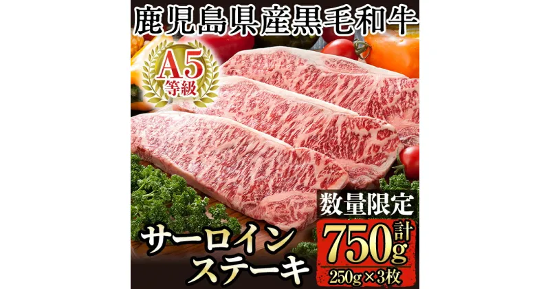 【ふるさと納税】＜数量限定！＞鹿児島県産黒毛和牛サーロインステーキ250g×3枚合計750g(A-5等級)国産 牛肉 ステーキ ステーキ肉 鹿児島県産 黒毛和牛 肉 精肉 牛 A5等級【九面屋】