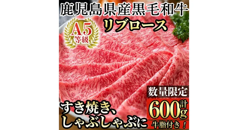 【ふるさと納税】＜数量限定！＞鹿児島県産黒毛和牛リブロース肉600g(A-5等級)国産 牛肉 鹿児島県産 黒毛和牛 肉 精肉 牛 すき焼き しゃぶしゃぶ A5等級【九面屋】