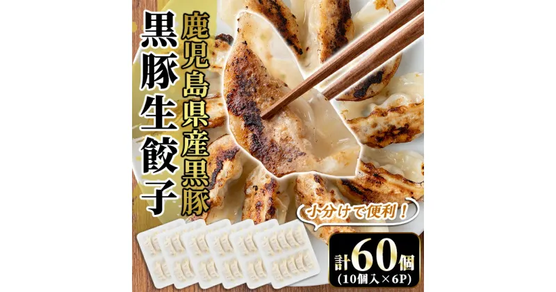 【ふるさと納税】国産！鹿児島県産黒豚餃子60個(10個入×6P)国産 豚肉 ぎょうざ ギョーザ ギョウザ 惣菜 おかず 冷凍【肉の豊楽】