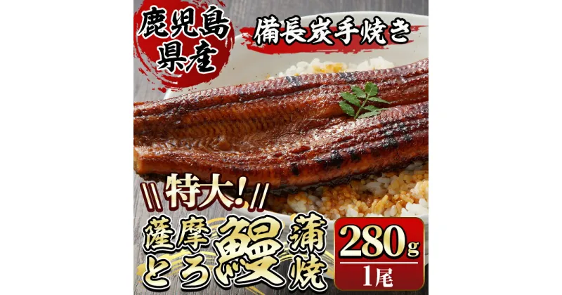 【ふるさと納税】薩摩とろ鰻蒲焼特大サイズ(1尾：280g） うなぎ ウナギ 蒲焼き 蒲焼 かばやき タレ 鹿児島 国産 冷凍【株式会社志】