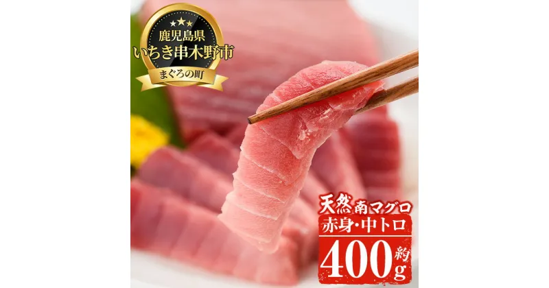 【ふるさと納税】南マグロ味わいセット！中トロと赤身の鮪の刺身用柵(計約400g) まぐろ 鮪 南まぐろ 南マグロ 中とろ 魚介 刺し身 刺身 刺身用 さしみ サク 海鮮丼 小分け 便利 冷凍 希少 新鮮【新洋水産】