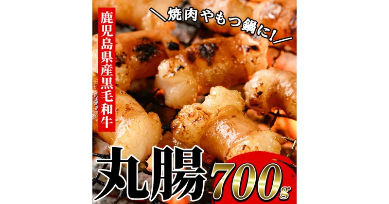 【ふるさと納税】【厳選！】鹿児島県産黒毛和牛 丸腸 (計700g) 冷凍 まるちょう ホルモン もつ鍋 焼肉 牛肉 肉 もつ モツ 内臓 国産牛 モツ鍋 もつなべ 九州 国産 ギフト 黒毛和牛【バクロ】