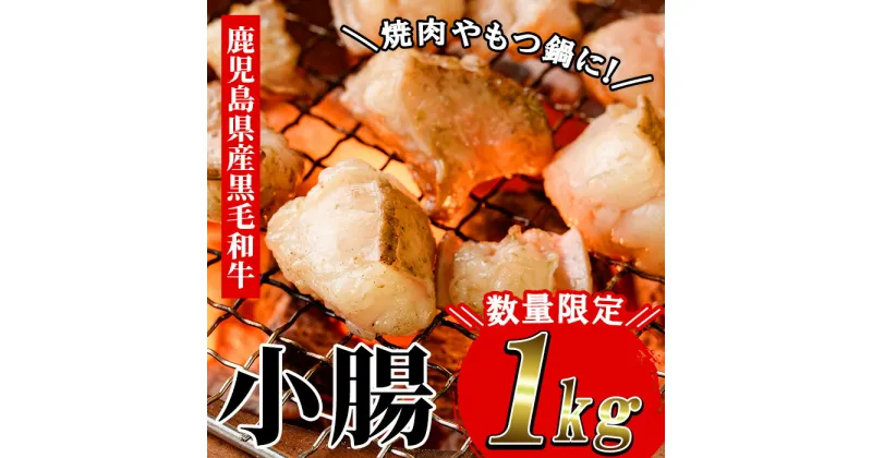 【ふるさと納税】≪数量限定≫鹿児島県産黒毛和牛の小腸 ホルモン(計1kg) しょうちょう ホルモン もつ鍋 焼肉 鍋 焼肉用 焼き肉 バーベキュー 冷凍 牛肉 肉 もつ モツ 内臓 国産牛 モツ鍋 もつなべ 九州 国産 ギフト 黒毛和牛【バクロ】