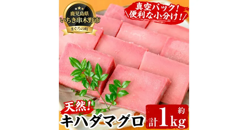 【ふるさと納税】天然キハダマグロ(約1kg) 柵でお届け！肉厚のお刺身や海鮮丼に！まぐろ 鮪 魚介 刺し身【海鮮まぐろ家】