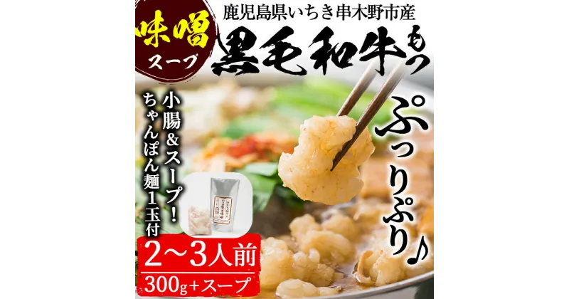 【ふるさと納税】鹿児島県産黒毛和牛使用！もつ鍋セット(2〜3人前)「贅の味噌」スープ(750g)と黒毛和牛小腸(300g)！しょうちょう ホルモン もつ鍋 鍋 冷凍 牛肉 肉 もつ モツ 内臓 国産牛 国産 九州産 モツ鍋 もつなべ ギフト 黒毛和牛【バクロ】