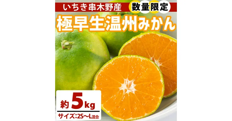 【ふるさと納税】＜先行予約受付中！2024年9月下旬から順次発送予定＞極早生温州みかん(約5kg)国産 九州産 鹿児島産 鹿児島県産 いちき串木野市産 蜜柑 みかん ミカン 柑橘 柑橘類 果物 果実 フルーツ 産地直送 数量限定 期間限定【池之上果樹園】