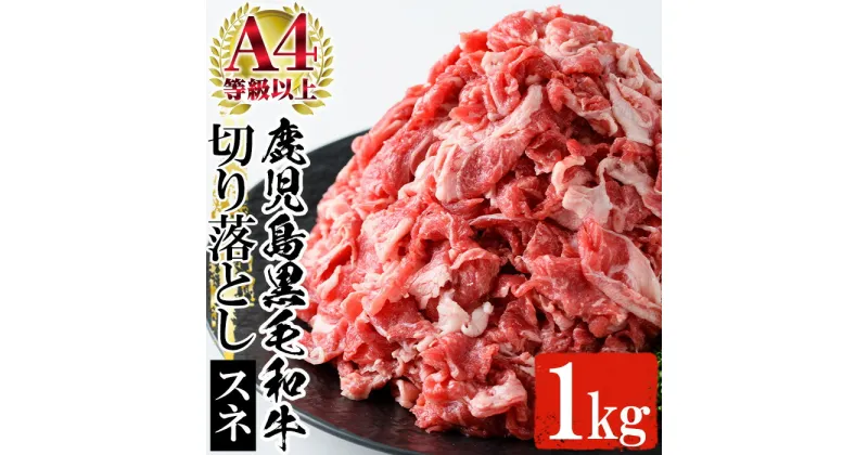 【ふるさと納税】鹿児島県黒毛和牛すね肉切り落とし(計1kg・500g×2P) A4等級以上 牛 牛肉 すね肉 切り落とし 国産 九州 スネ肉 肉じゃが カレー ハヤシライス ハッシュドビーフ【バクロ】