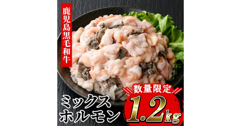 【ふるさと納税】≪数量限定≫黒毛和牛ミックスホルモン(計1.2kg) 牛肉 焼き肉 ホルモン炒め モツ もつ 内臓 国産 九州 肉 和牛 牛 贈答品 ギフト【バクロ】