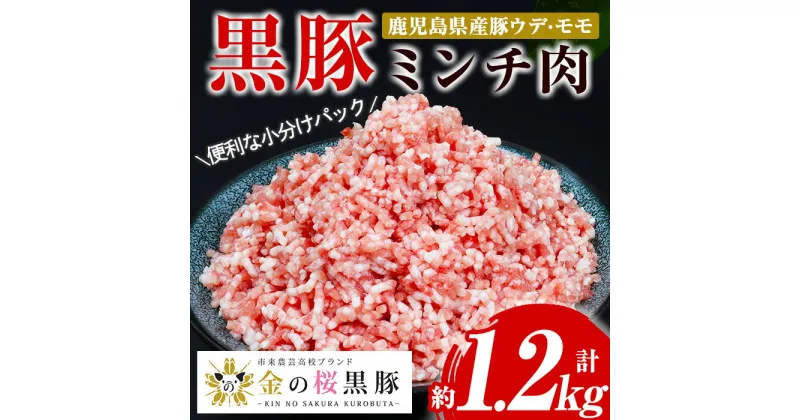 【ふるさと納税】市来農芸高校産 黒豚ミンチ(計約1.2kg・200g×6パック)！ウデ モモ ウデ肉 モモ肉 国産 豚 豚肉 肉 食品 肉類 冷凍 ミンチ 九州 ミンチ肉【エーエフ企画】