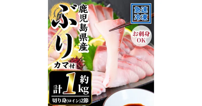 【ふるさと納税】鹿児島県産！冷凍ぶり(ロイン2節入・計1kg前後/カマ付)国産 九州産 鹿児島産 魚介 魚 旬 鰤 ブリ ぶり ハマチ はまち 養殖 刺身 お刺身 海鮮丼 漬け丼 ブリ大根 ぶりしゃぶ しゃぶしゃぶ カマ ブリカマ ロイン 切り身 切身 冷凍【全栄フーズ】