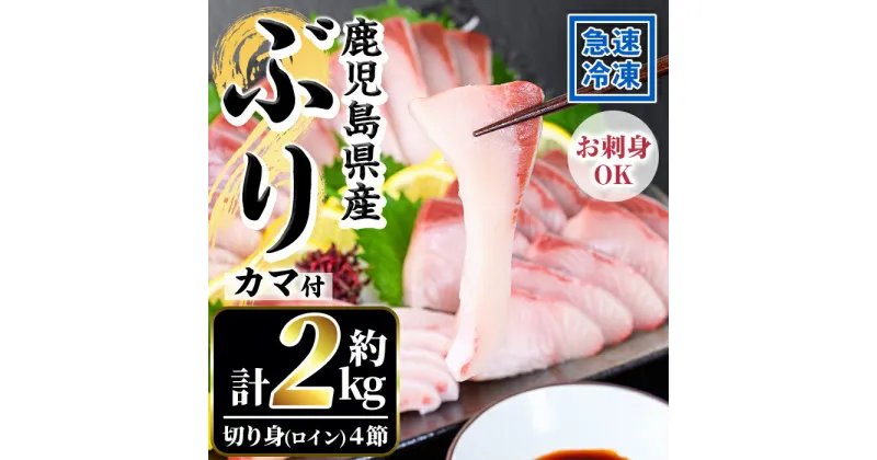 【ふるさと納税】鹿児島県産！冷凍ぶり(ロイン4節入・計2kg前後/カマ付)国産 九州産 鹿児島産 魚介 魚 旬 鰤 ブリ ぶり ハマチ はまち 養殖 刺身 お刺身 海鮮丼 漬け丼 ブリ大根 ぶりしゃぶ しゃぶしゃぶ カマ ブリカマ ロイン 切り身 切身 冷凍【全栄フーズ】