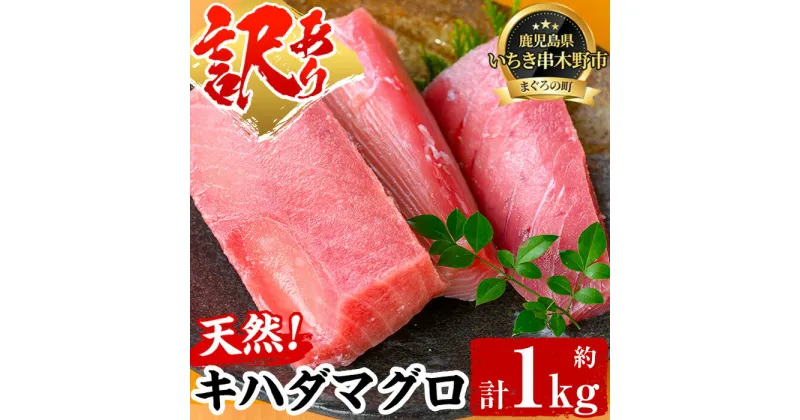 【ふるさと納税】《訳あり・数量限定》天然キハダマグロ(約1kg) 柵でお届け！肉厚のお刺身や海鮮丼に！まぐろ 鮪 魚 魚介 魚介類 刺し身 刺身 さしみ 切り身 海鮮丼 訳アリ わけあり 冷凍【海鮮まぐろ家】