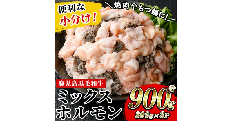 【ふるさと納税】≪小分けタイプ≫黒毛和牛ミックスホルモン(計900g・300g×3P) 牛肉 焼き肉 ほるもん ホルモン炒め モツ もつ 内臓 国産 九州 鹿児島県産 肉 和牛 牛 小分け こわけ 便利 贈答品 ギフト【バクロ】