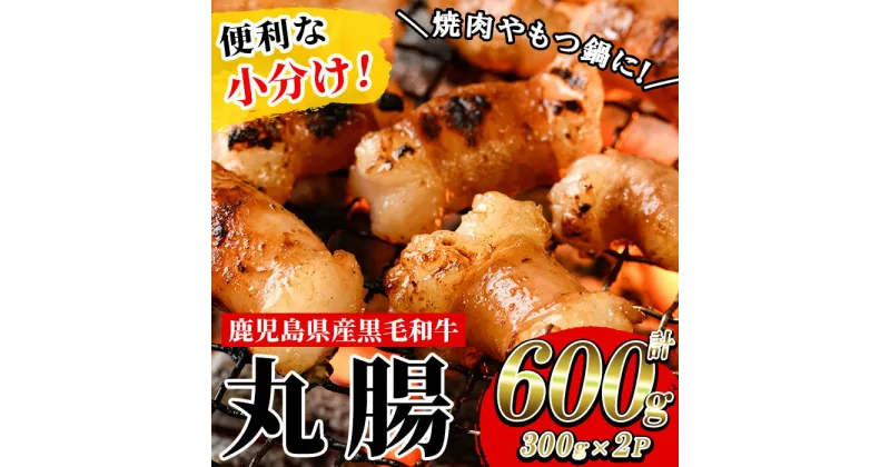 【ふるさと納税】≪小分けタイプ≫鹿児島県産黒毛和牛 丸腸 (計600g・300g×2P) 冷凍 まるちょう ホルモン もつ鍋 焼肉 牛肉 肉 もつ モツ 内臓 国産牛 黒毛和牛 モツ鍋 もつなべ 九州 国産 小分け こわけ 便利 ギフト【バクロ】