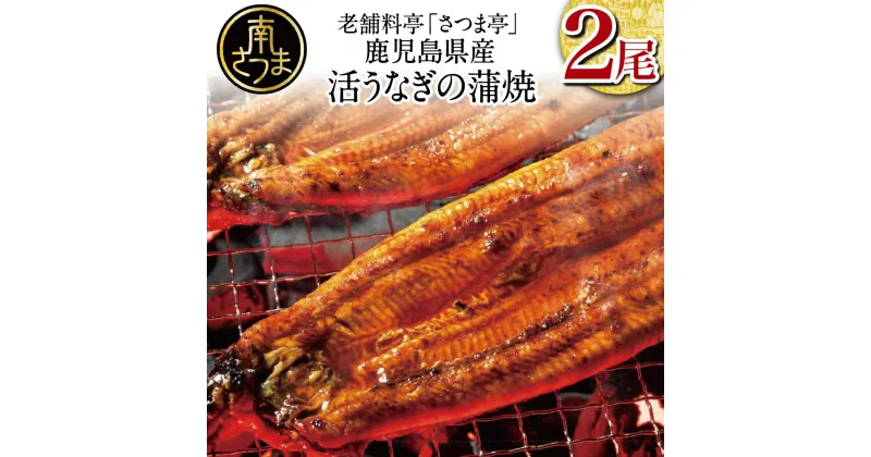 【ふるさと納税】【鹿児島県産】活うなぎの蒲焼2尾 国産 鰻 ウナギ 丑の日 グルメ うな重 うな丼 蒲焼 かば焼き お取り寄せ 送料無料 鹿児島うなぎ 土用 お取り寄せグルメ ギフト 贈答【2019年度 ふるさと納税 寄附額 鹿児島県1位 南さつま市】