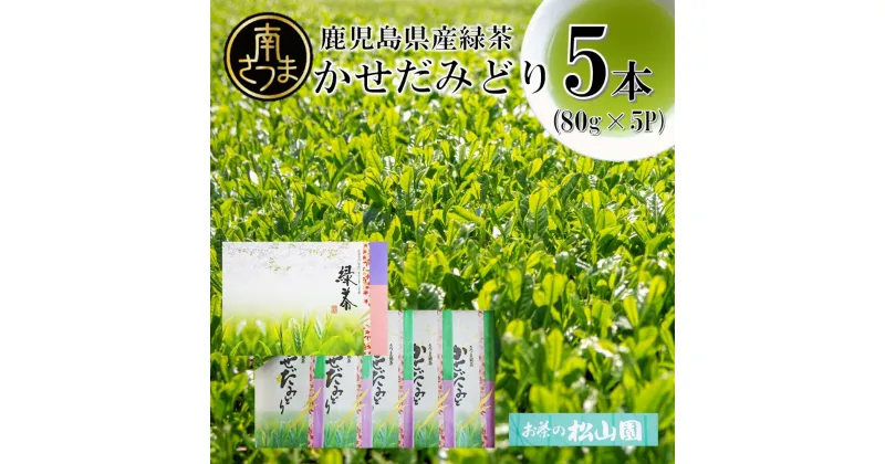 【ふるさと納税】【鹿児島県産緑茶】 かせだみどり（80g×5袋） お茶 茶葉 日本茶 緑茶 飲料 飲み物 ギフト 贈答用 国産 鹿児島県産 南さつま市 お茶の松山園 送料無料