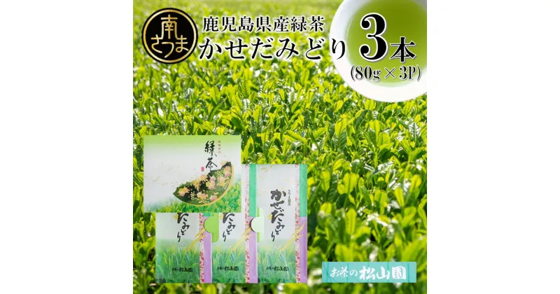 【ふるさと納税】 【鹿児島県産緑茶】かせだみどり（80g×3） お茶 茶葉 日本茶 緑茶 飲料 飲み物 ギフト 贈答用 国産 鹿児島県産 南さつま市 お茶の松山園 送料無料