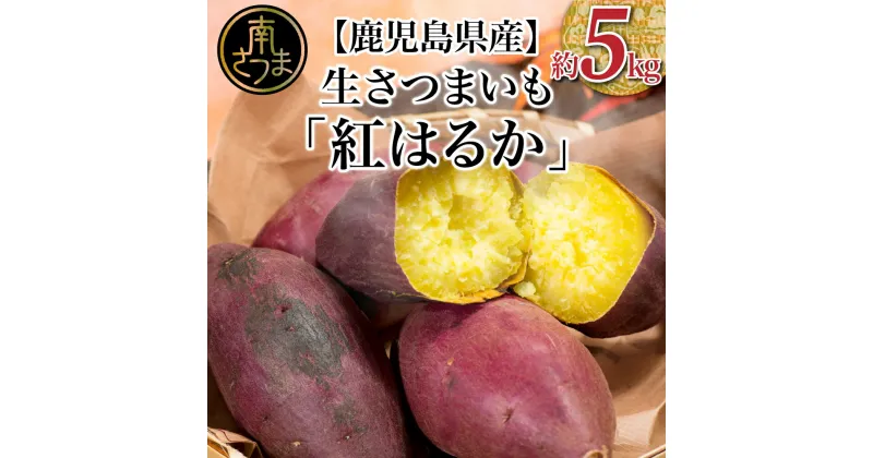 【ふるさと納税】先行受付：鹿児島県産「紅はるか」生さつまいも 約5kg 【12月下旬発送】さつまいも 焼き芋 さつま芋 甘藷 サツマイモ べにはるか スイーツ JA 南さつま市 送料無料