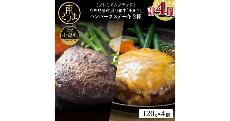 【ふるさと納税】【プレミアムブランド】鹿児島県産黒毛和牛「小田牛」 牛肉100％ 2種類のハンバーグステーキ 計4個（120g×各2個）チーズハンバーグ 牛肉 総菜 おかず レトルト 黒毛和牛 和牛日本一 小田畜産 冷凍 ギフト 贈答 南さつま市 送料無料