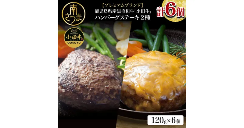 【ふるさと納税】【プレミアムブランド】鹿児島県産黒毛和牛「小田牛」 牛肉100％ 2種類のハンバーグステーキ 計6個（120g×各3個）チーズハンバーグ 牛肉 総菜 おかず レトルト 黒毛和牛 和牛日本一 小田畜産 冷凍 ギフト 贈答 南さつま市 送料無料