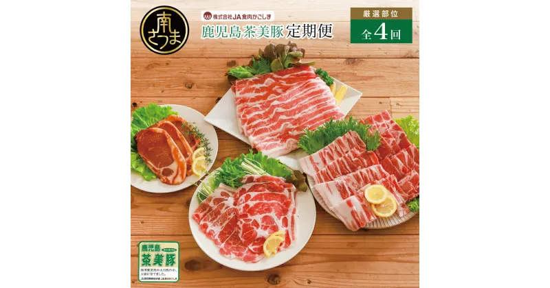 【ふるさと納税】【ブランド豚定期便 全4回】鹿児島茶美豚（チャーミートン）の厳選部位定期便 JA食肉かごしま 国産豚肉 バラ肉 カタロース 肩ロース トンテキ スライス 薄切 うす切り しゃぶしゃぶ用 豚しゃぶ 鍋用 BBQ 焼き肉 焼肉 食べ比べ 小分け 生姜焼き 冷凍 送料無料
