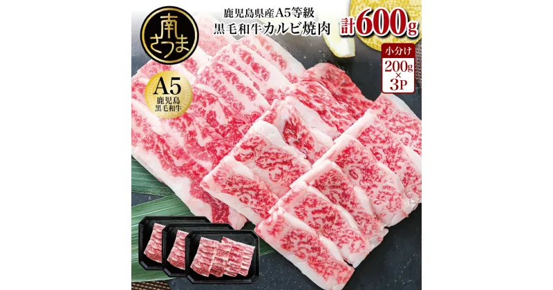 【ふるさと納税】【鹿児島県産】A5等級黒毛和牛 カルビ焼肉 計600g（200g×3P） 国産牛 牛肉 国産 焼き肉 カミチク BBQ バーベキュー アウトドア バラ 丼 プレート 小分けパック 冷凍【2019年度ふるさと納税寄附額鹿児島県1位！南さつま市】